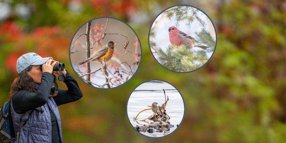 Warbler Walks Forest History Center